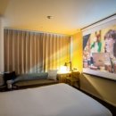 스테이안 이미지