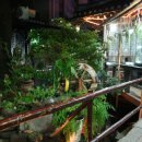 거목한정식 이미지