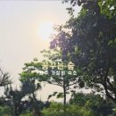 숲속바다펜션민박 이미지