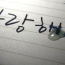 (사)모두사랑 이미지