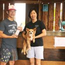 나미컴퍼니 이미지