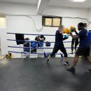 B&S 복싱 이미지