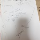 미국 괌 여행 프롤로그 🛫 (괌지도 포함/ 괌 스카이다이빙/ 괌 렌트/ 괌 숙소/ 괌일정/ 괌준비물)