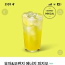 강피지오 네이버블로그