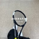 다일테크 | 일상 조각 모음 | 2024.06
