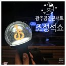팔색조 | [광주 콘서트공연] 팔색조 조정석쇼 광주 내돈내산 리얼후기 야광봉도 예쁨