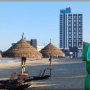 BLUE12 양양서프 | 양양 빅웨이브 서프리조트 오션뷰 숙소 추천