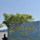 2025 러브썸 4/26(토) 라인업 및 페스티벌 후기 | 주차 꿀팁+준비물