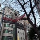 168 | 부산 여행 필수코스, 이재모피자 웨이팅 중 다녀온 168계단 후기