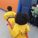 한국체대 천마태권도 이미지