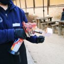 남이섬 남원존 조성 | 2025 남이섬 겨울축제 Winter Wonder Nami Island 남이섬 가는법