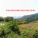 랜드오브코리아 부동산중개 이미지