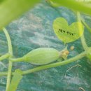 화니농장 이미지