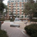 서래공인중개사사무소 이미지