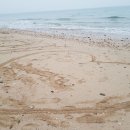 (주)대천에너지 이미지