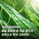 제이메디팜 이미지