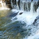 천년 행정사 이미지