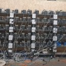 영국농장 이미지