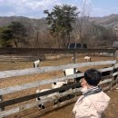 파란목장 | 춘천여행 (해피초원목장, 춘천베뉴키즈풀빌라)