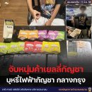 [태국 뉴스] 6월 13일 정치, 경제, 사회, 문화 이미지