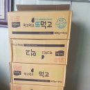 우다다냥 이미지