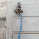 비룡카센타 이미지