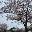 강남해안로 이미지