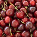 만월청과 이미지