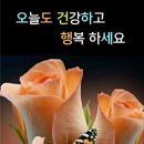 클로버짐 이미지