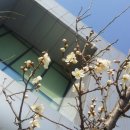 도전농장 이미지