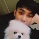 은지원 카카오 검색결과