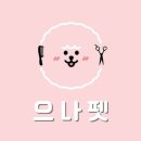이바우펫미사