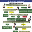 SFMA : Cervical Spine Pattern Breakouts 이미지