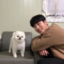 도도 Daum카페