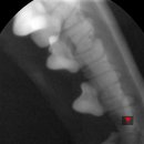 해운대 케이 동물병원 이미지