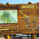 백운산둘레길5코스 티스토리