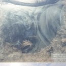 능산리고분군아트뮤지엄 이미지