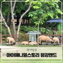 애니멀랜드 | 포천 아이랑 함께 마이애니멀스토리 in 평강랜드 동물원 후기