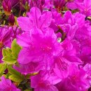 치산농장 이미지