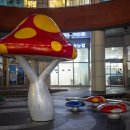 금수카써비스 이미지