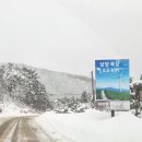 광기목장 이미지