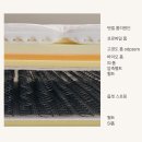 (주)금성바이오 네이버블로그