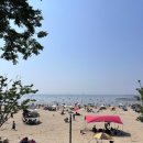 방아머리공원(솔밭) 이미지