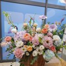 범한프라자 앞 | 분당 초롱꽃방에서 준비한 친구 개업 선물 꽃바구니 후기