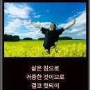 행복한아침 이미지