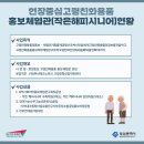 연제나무그늘 네이버블로그