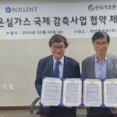 대양뒤 이미지