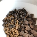 멍믈리에 이미지