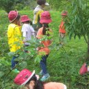 남산숲어린이집 이미지