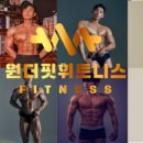 원더핏 이미지